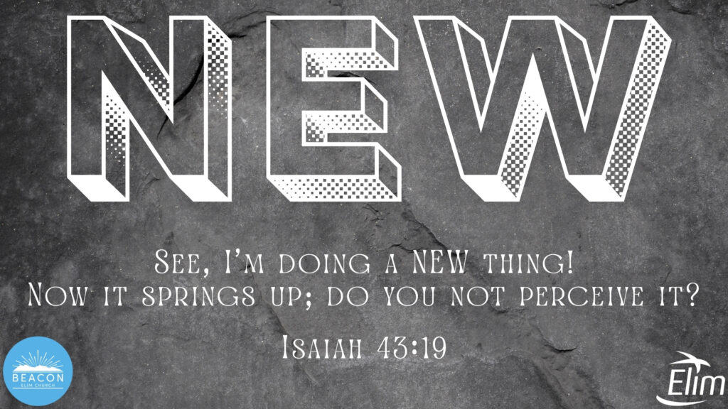 Series ‘NEW’ 02/11/25 – Session 7