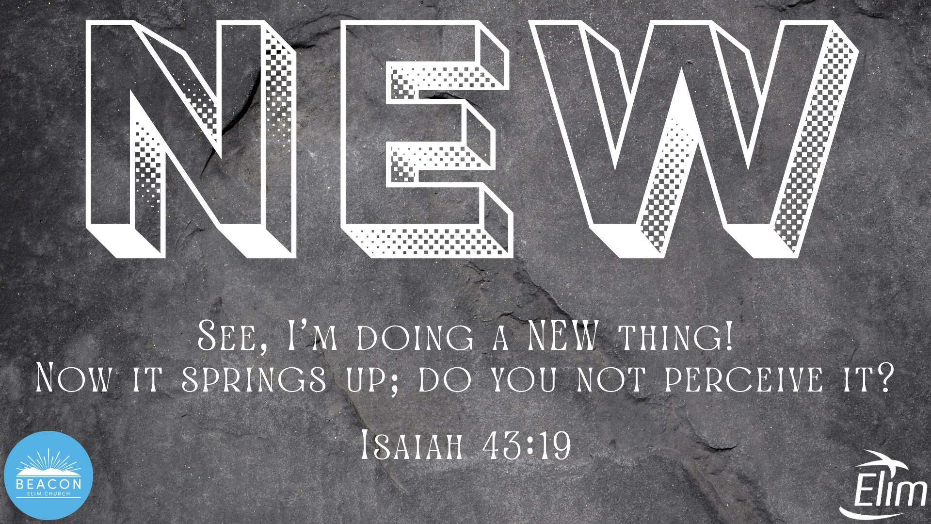 Series 'NEW' 02/11/25 - Session 7